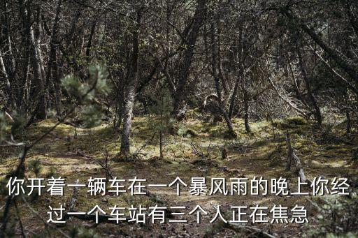 公車奇緣，你開著一輛車在一個暴風雨的晚上你經過一個車站有三個人正在焦急