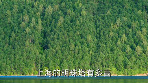 上海的明珠塔有多高