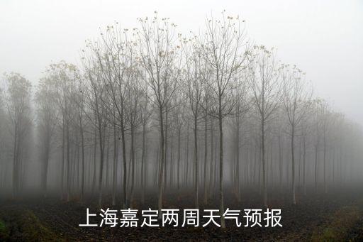 上海嘉定兩周天氣預(yù)報(bào)