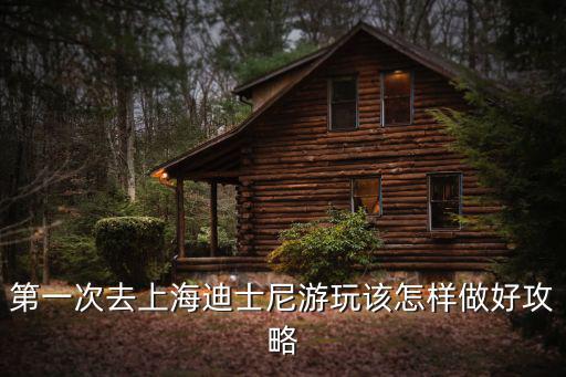 第一次去上海迪士尼游玩該怎樣做好攻略