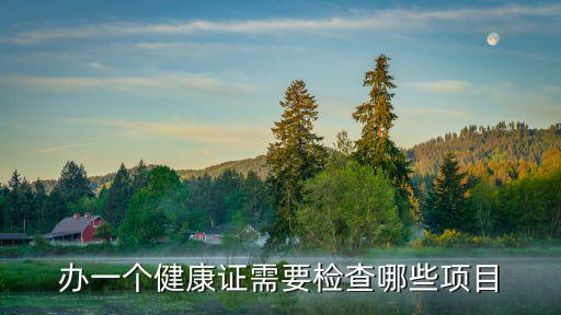 辦一個健康證需要檢查哪些項目