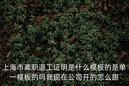 上海市離職退工證明是什么模板的是單一模板的嗎我現在公司開的怎么跟