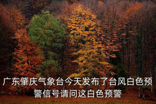 今天臺風最新消息，今天十月一日臺風最新消息
