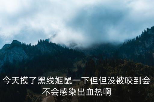 今天摸了黑線姬鼠一下但但沒被咬到會不會感染出血熱啊