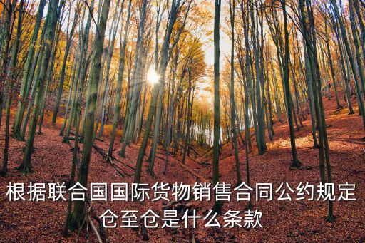 根據聯合國國際貨物銷售合同公約規定倉至倉是什么條款