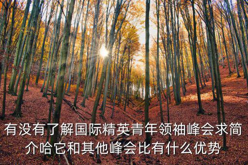 有沒有了解國際精英青年領袖峰會求簡介哈它和其他峰會比有什么優勢