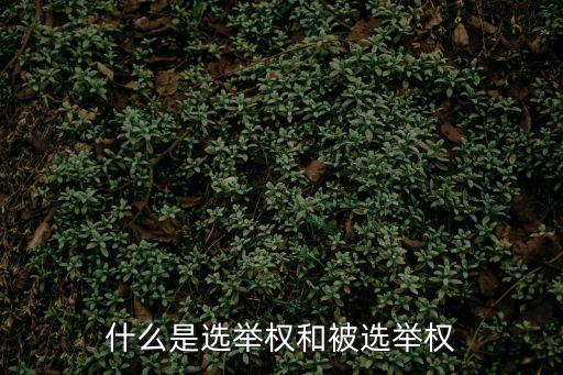 什么是選舉權(quán)和被選舉權(quán)