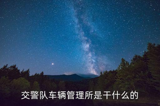 交管所，交警隊車輛管理所是干什么的