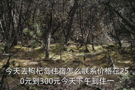 今天去枸杞島住宿怎么聯系價格在250元到300元今天下午到住一