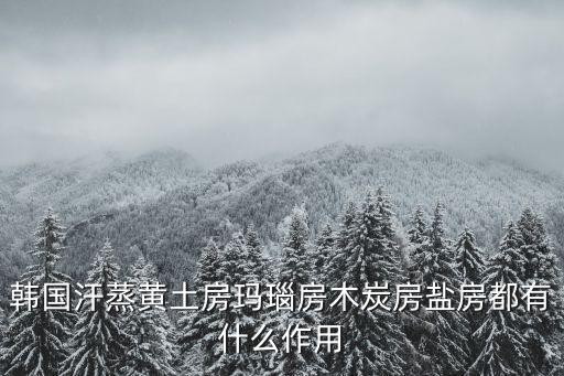 韓國汗蒸黃土房瑪瑙房木炭房鹽房都有什么作用