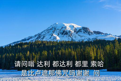 請問嗡 達利 都達利 都里 索哈 是比盧遮那佛咒嗎謝謝  問