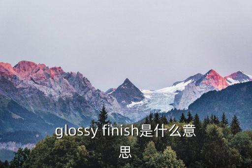 glossy，請問各位glossy white 是什么意思啊