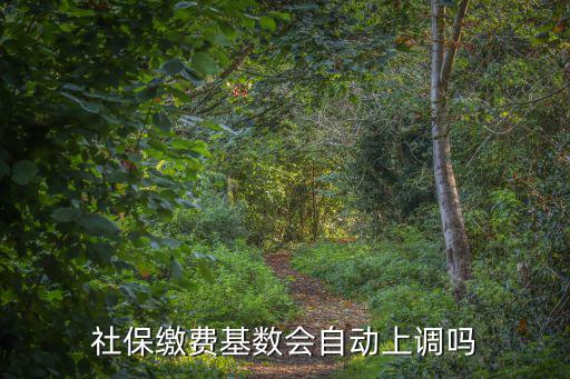 社保繳費基數會自動上調嗎
