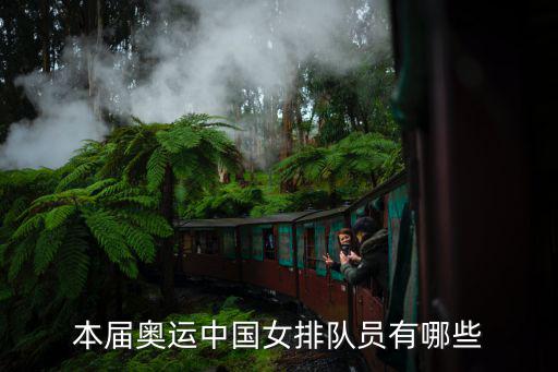 女排成員，女排隊員都有誰