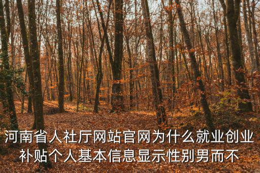 河南省人社廳網(wǎng)站官網(wǎng)為什么就業(yè)創(chuàng)業(yè)補貼個人基本信息顯示性別男而不