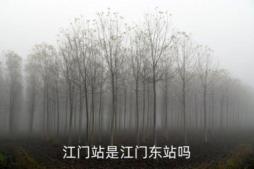 江門站是江門東站嗎