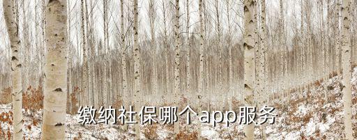 繳納社保哪個app服務