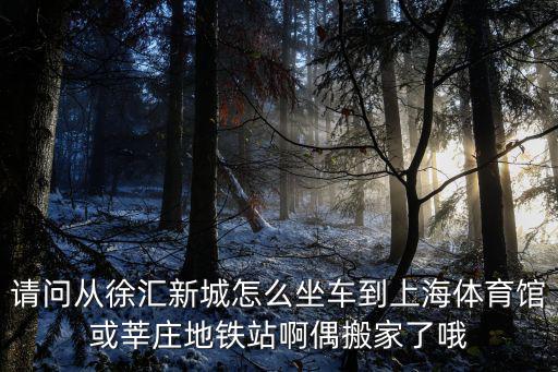 請問從徐匯新城怎么坐車到上海體育館或莘莊地鐵站啊偶搬家了哦