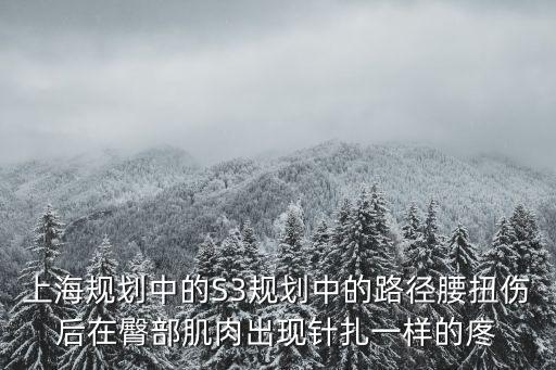 上海s3，LOL IEM 上海站 到底是什么意思LPL預選還是啥意思和S3總決賽