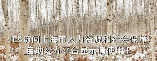 IE8訪問上海市人力資源和社會保障自助經(jīng)辦平臺顯示請使用IE