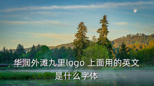 華潤外灘九里logo 上面用的英文是什么字體