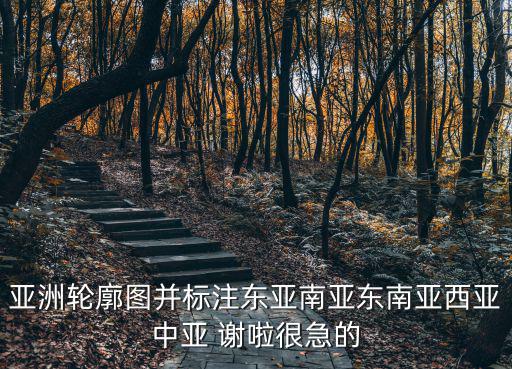 東亞地圖，亞洲輪廓圖并標注東亞南亞東南亞西亞中亞 謝啦很急的