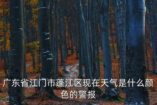 廣東省江門市蓬江區現在天氣是什么顏色的警報