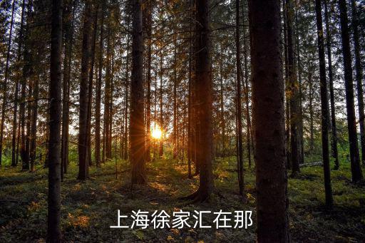 徐家匯，上海徐家匯在那