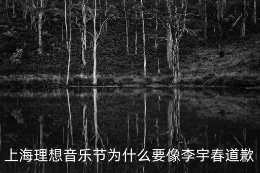 上海理想音樂節(jié)為什么要像李宇春道歉