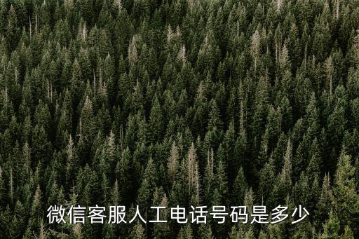微信客服人工電話號碼是多少