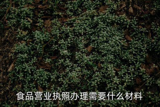 食品營業執照辦理需要什么材料