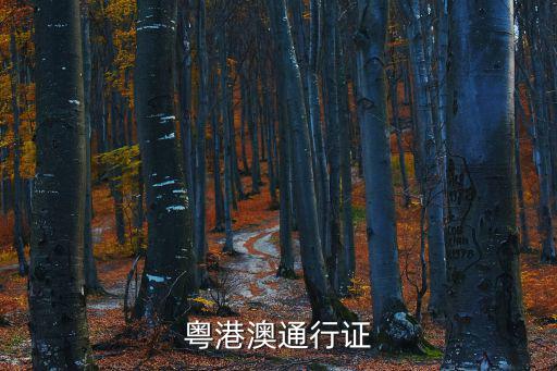粵港澳通行證
