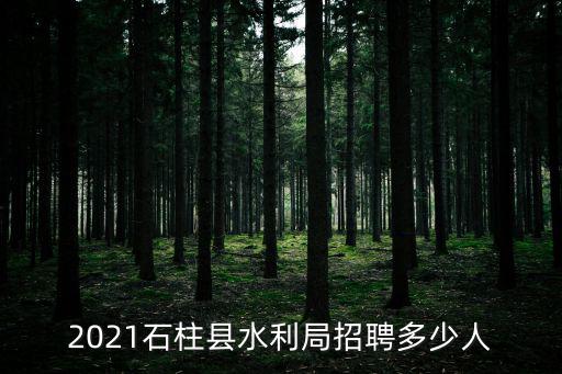 2021石柱縣水利局招聘多少人