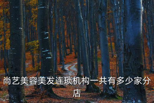 尚藝美容美發連瑣機構一共有多少家分店