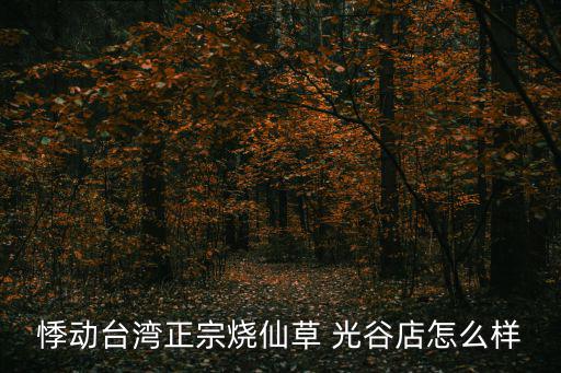 悸動臺灣正宗燒仙草 光谷店怎么樣