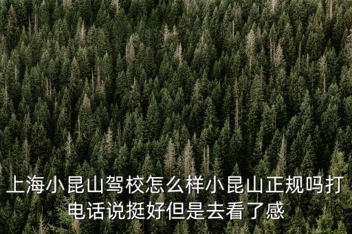 上海小昆山駕校怎么樣小昆山正規嗎打電話說挺好但是去看了感