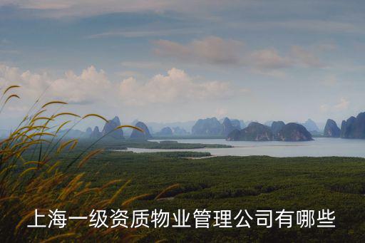 上海一級資質(zhì)物業(yè)管理公司有哪些