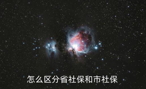 省社保，省社保和市社保有什么區別