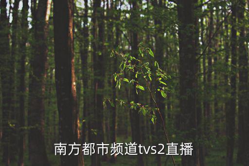 南方都市頻道tvs2直播