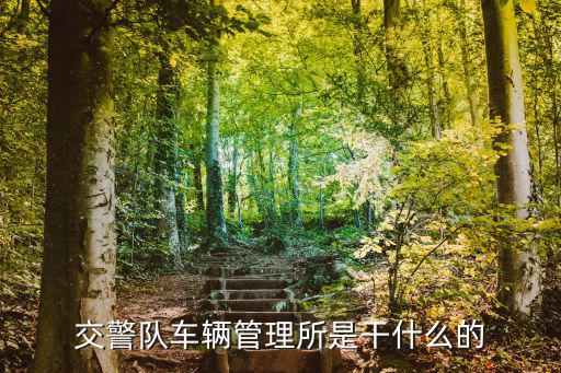 交警隊車輛管理所是干什么的