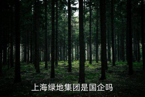 上海綠地集團是國企嗎