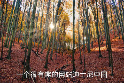 一個很有趣的網(wǎng)站迪士尼中國