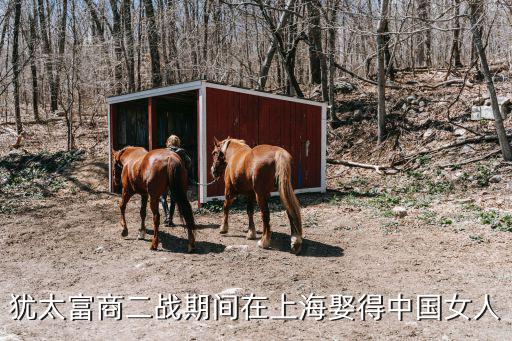 猶太富商二戰(zhàn)期間在上海娶得中國女人