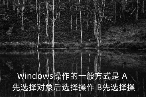 Windows操作的一般方式是 A 先選擇對象后選擇操作 B先選擇操