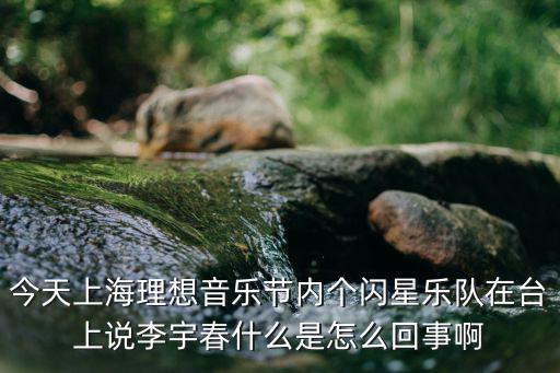 今天上海理想音樂節(jié)內(nèi)個(gè)閃星樂隊(duì)在臺(tái)上說李宇春什么是怎么回事啊