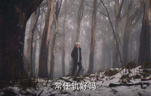 常任軌好嗎