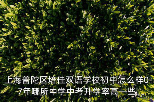 上海普陀區培佳雙語學校初中怎么樣07年哪所中學中考升學率高一些