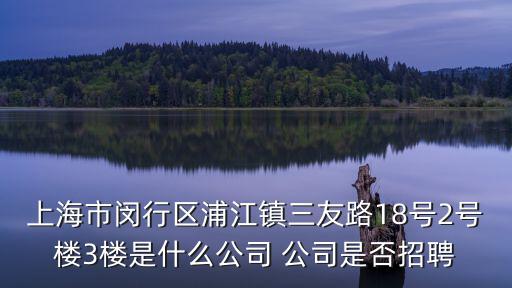 上海市閔行區(qū)浦江鎮(zhèn)三友路18號2號樓3樓是什么公司 公司是否招聘