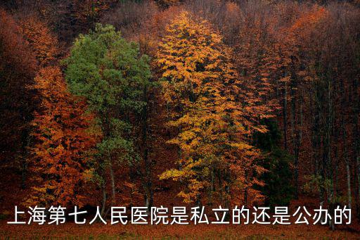 上海第七人民醫院是私立的還是公辦的