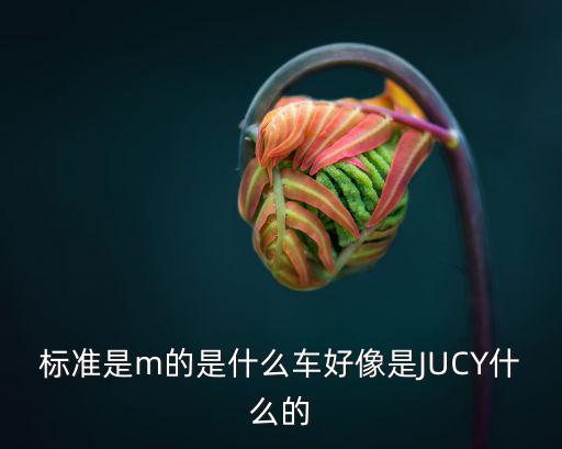 標準是m的是什么車好像是JUCY什么的